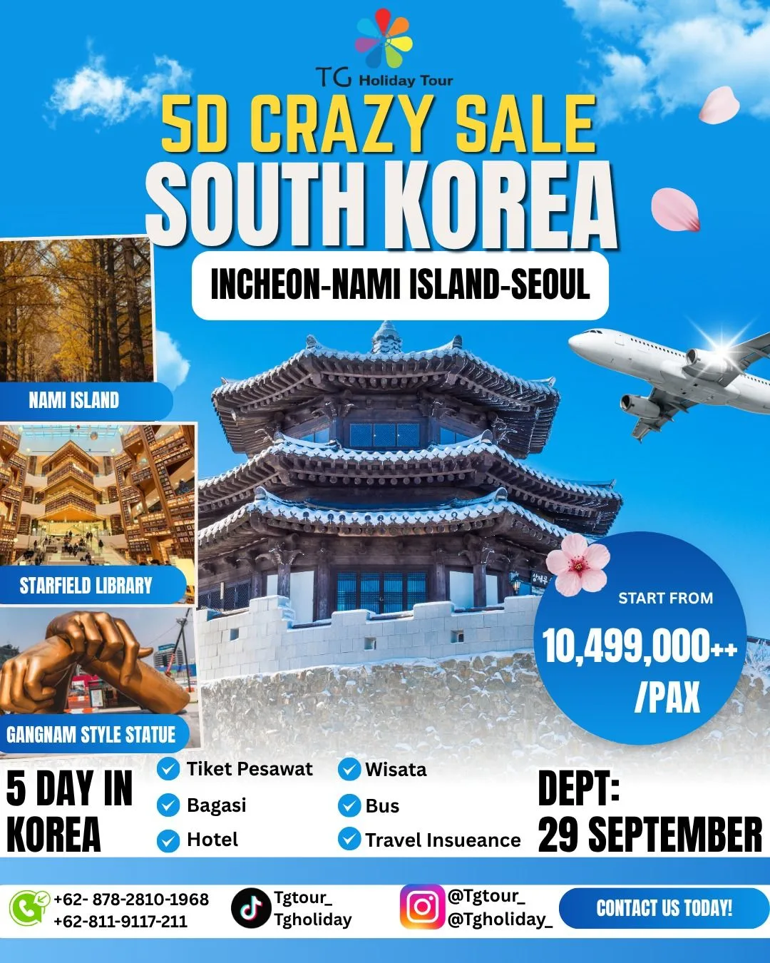 5D Crazy Sale Korea